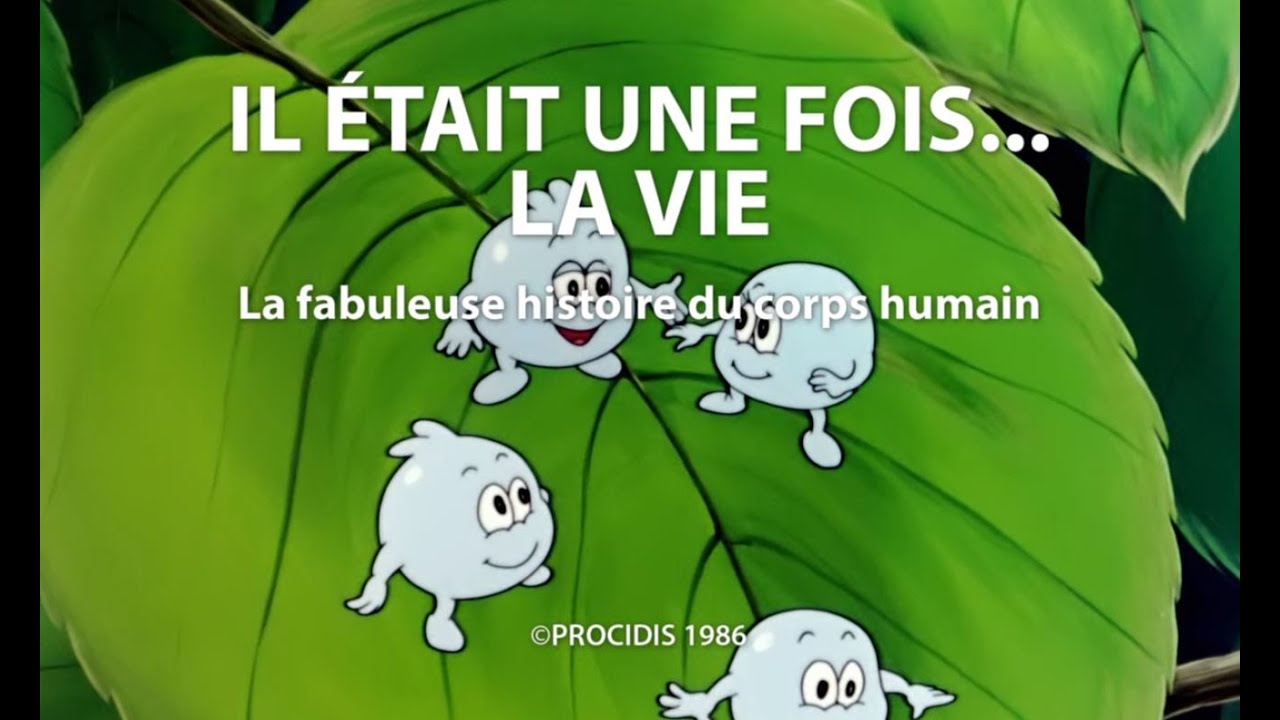 Il Était Une Fois La Vie.... Générique long