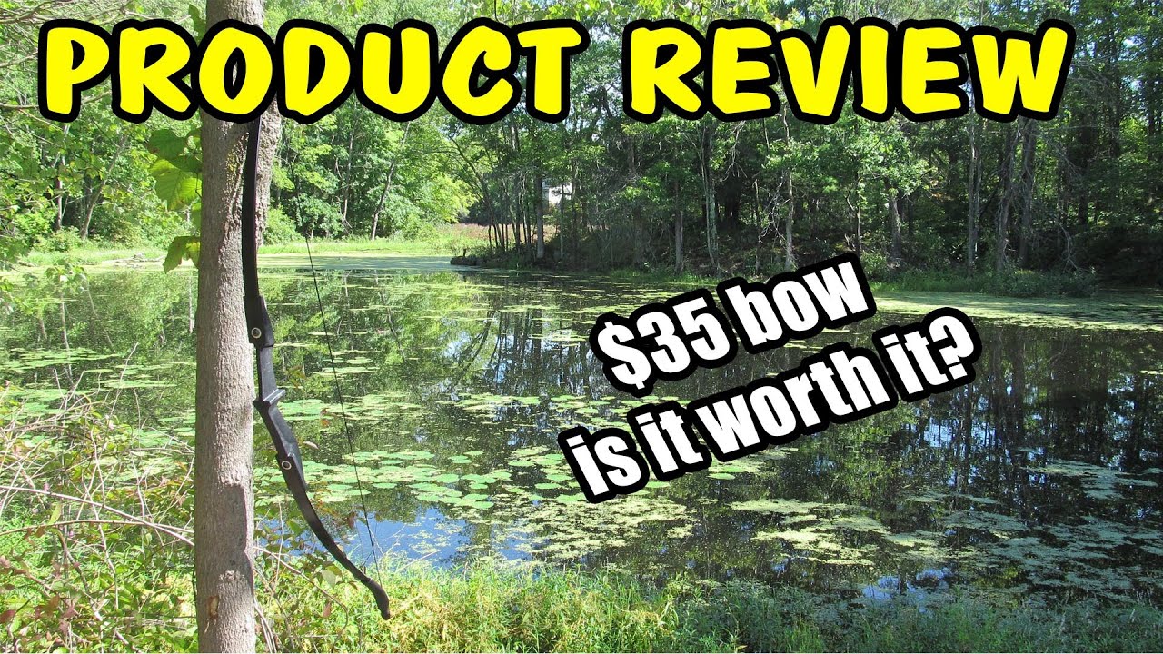 35 Dollar Bow is it any good?