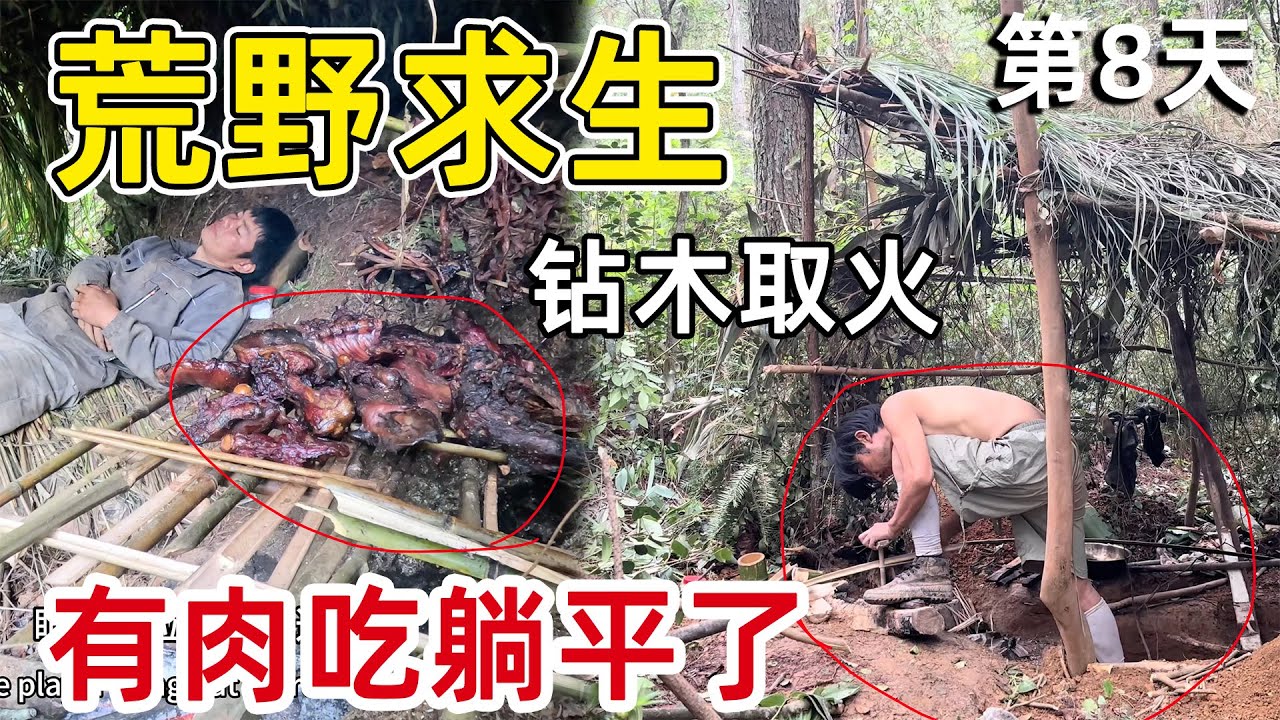 抓到一头野猪，每天吃肉 已经过上了躺平生活，还有人为了砖木取火吃不上饭发愁