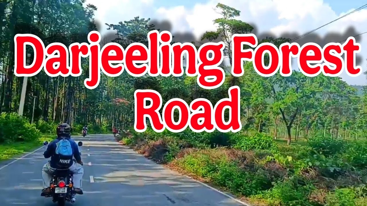 Darjeeling Forest Road | Bike Riding Siliguri | Biker Chandan | #trending #bike #r15v3 #traveling #1