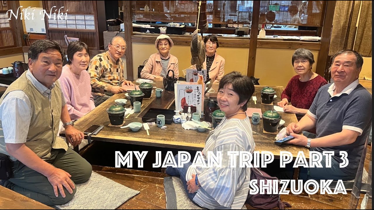 My Japan Trip Part 3 Going to Shizuoka