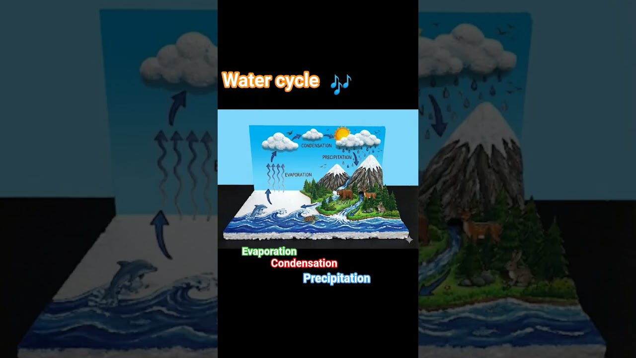 water cycle project. 