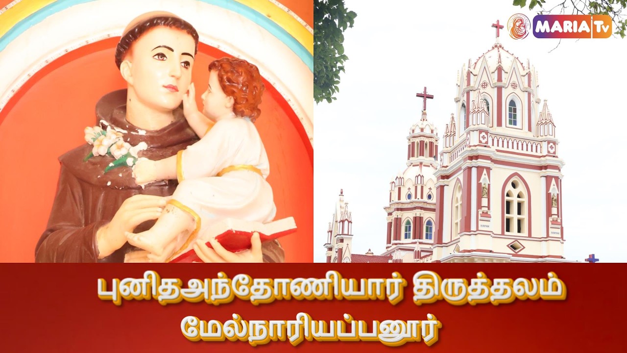🔴LIVE - 17-03-2026  | மேல்நாரியப்பனூர் புனிதஅந்தோணியார் திருத்தலம் திருப்பலி 06.00 AM