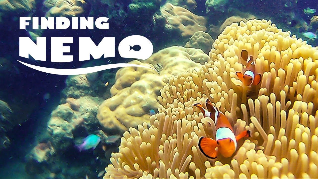 Scuba Diving - Tamil | 😱 BEST Underwater EXPERIENCE EVER 😍