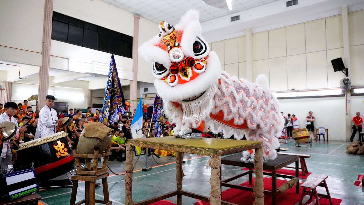 槟州大山脚鱼池区忠华龙狮团B队 | 2023年全槟武术龙狮競標赛 | 檳州武術龍獅總會 | Wushu Lion And Dragon Dance Championship