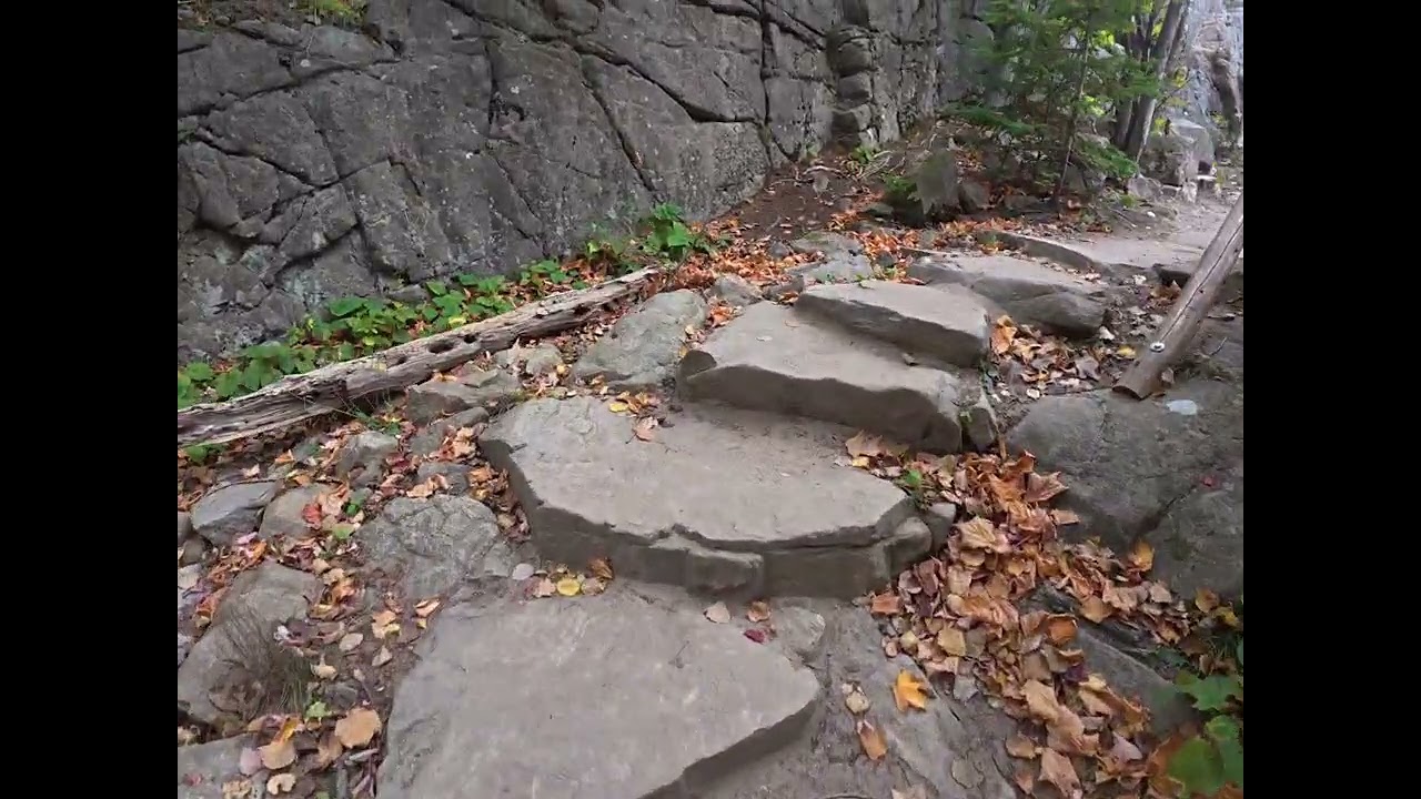 Hiking the Great Head Trail with My Dog 🐾 | Epic Acadia National Park Adventure (AllTrails)