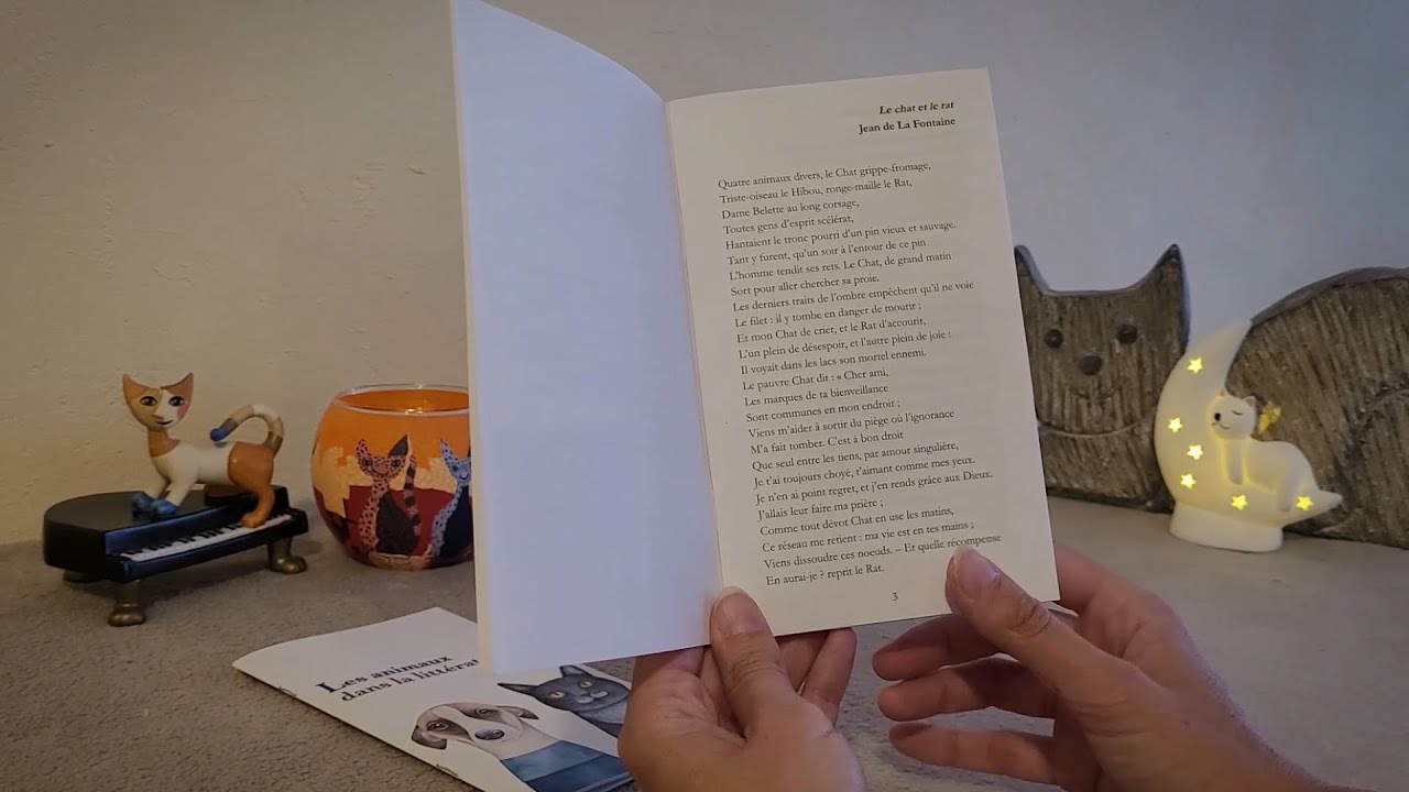 ASMR - Lecture chuchotée - Histoires de chats 🐱📖