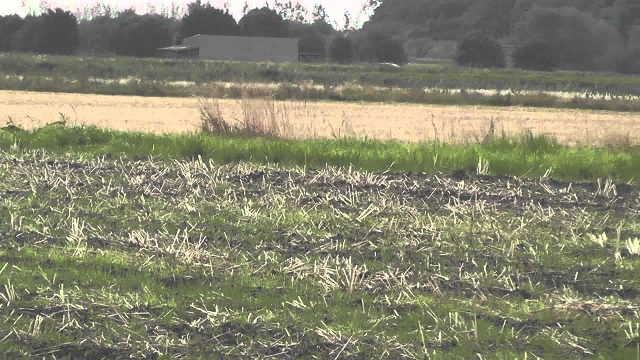 012.MTSbarney x judy preban