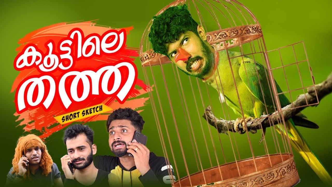 കൂട്ടിലെ തത്ത 🤪|short comedy|