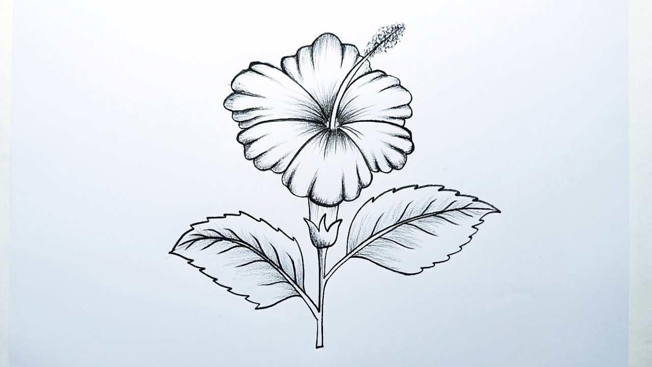 How to draw a beautiful hibiscus | Hibiscus Drawing Easy | জবা ফুল আঁকা শিখুন |