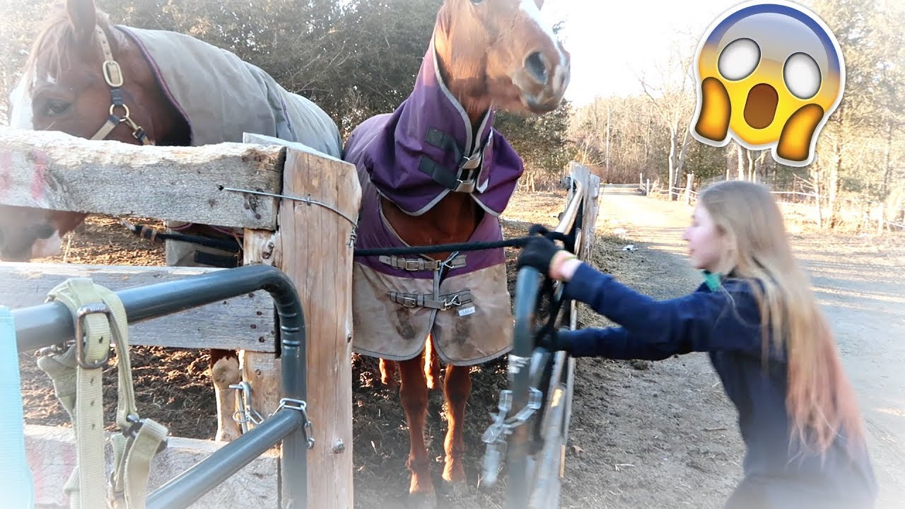 THIS COULD HAVE TURNED OUT BADLY! Day 076 (03/17/18)