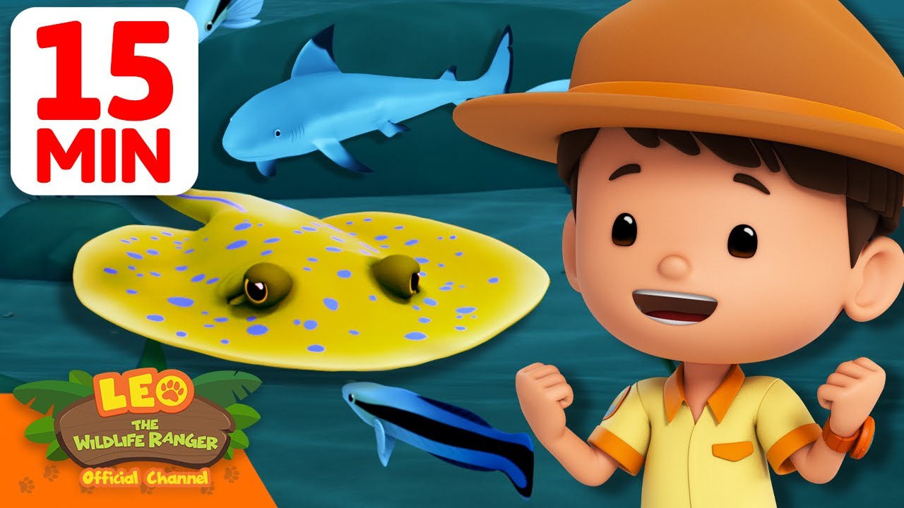 Help the Stingray Escape from the SHARK! | 15 Min | Leo the Wildlife Ranger | Kids Cartoons 