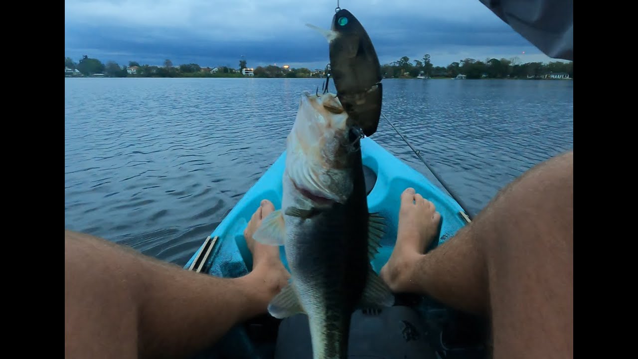 Breakdown of some Phat Labs swimbaits, new and old.