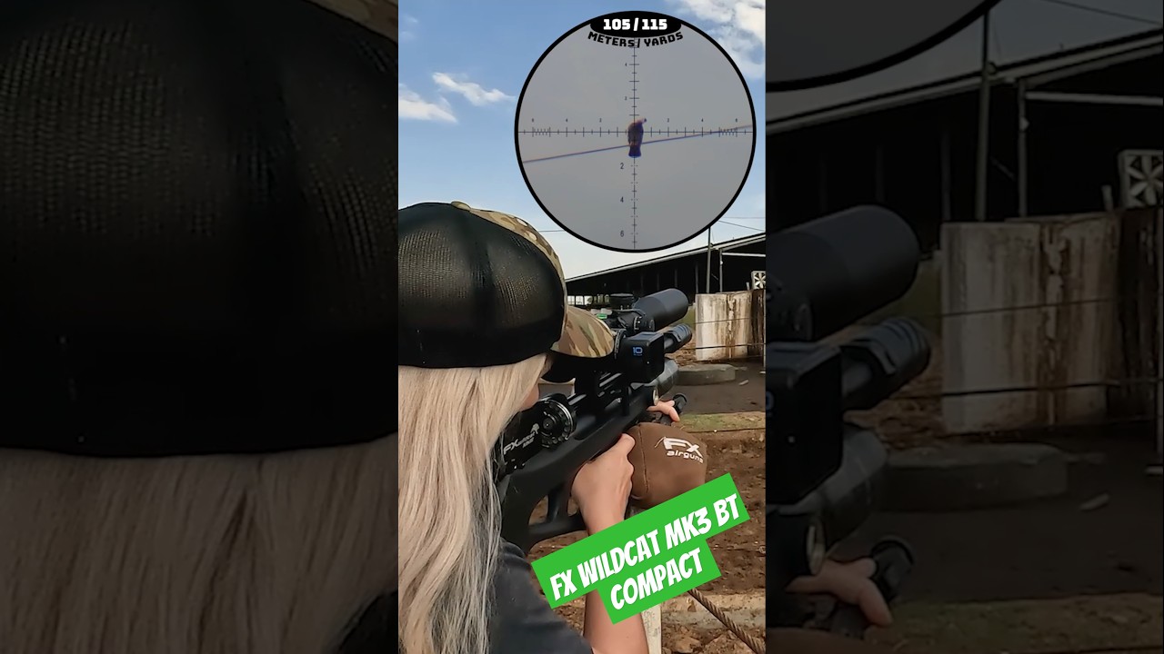 FX Wildcat MK3 BT Compact in action | World's best PCP Airguns #fxairguns