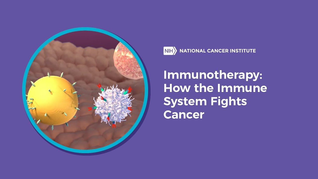 Immunotherapy: How the Immune System Fights Cancer