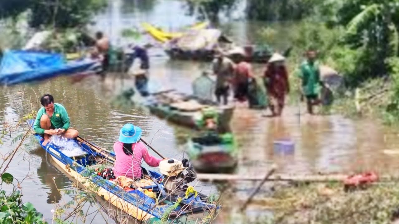 Mùa Nước Nổi 2025 – Tha La Mở Cống Cá Đồng Tràn Về Cánh Đồng | Flood Season on Tha La Canal