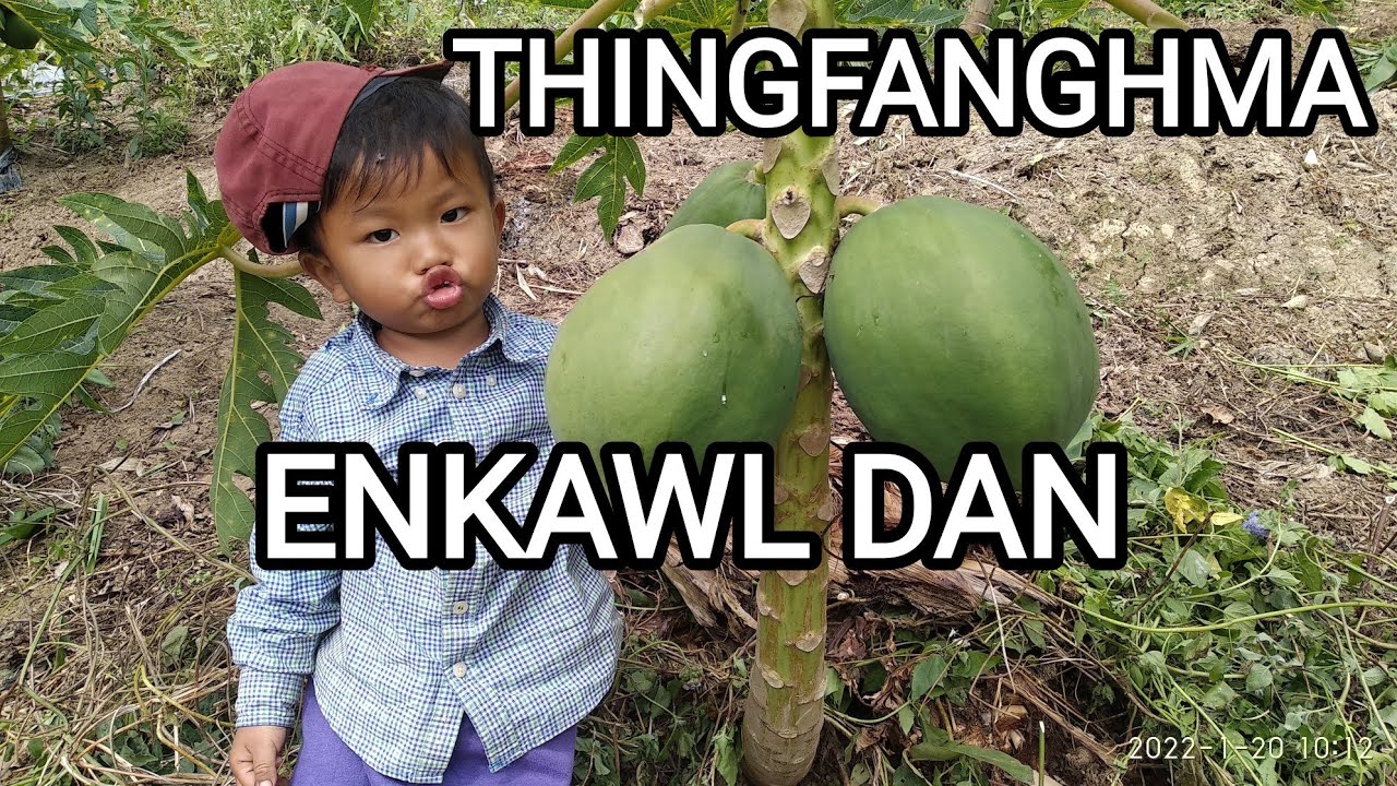Thingfanghma chin/enkawl dan