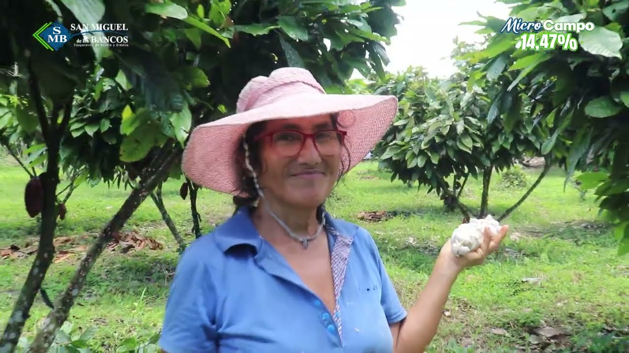 El crédito que entiende tu cosecha, MicroCampo al 14,17% | Cooperativa San Miguel de los Bancos