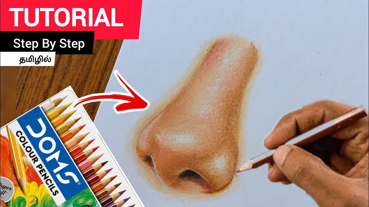 How I Use Doms Color Pencils To Shading Nose Skintone 💯 Tamil Tutorial For Beginners #arttutorial