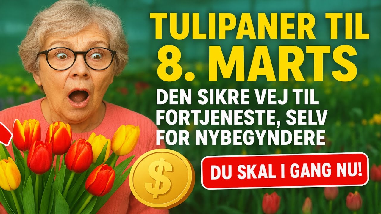 Tulipaner til 8. marts: Den sikre vej til fortjeneste, selv for nybegyndere (Du skal i gang NU!)