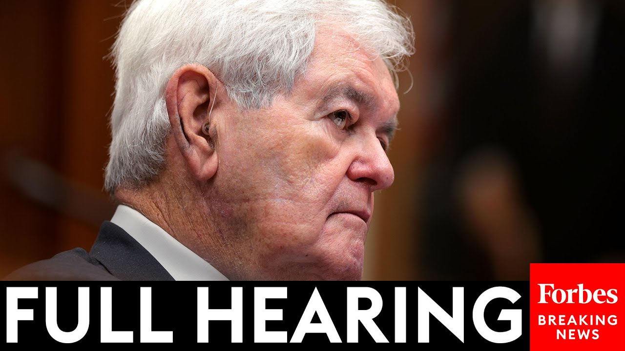 FULL HEARING: Newt Gingrich Testifies Before House Judiciary Committee On Injunctions Blocking Trump