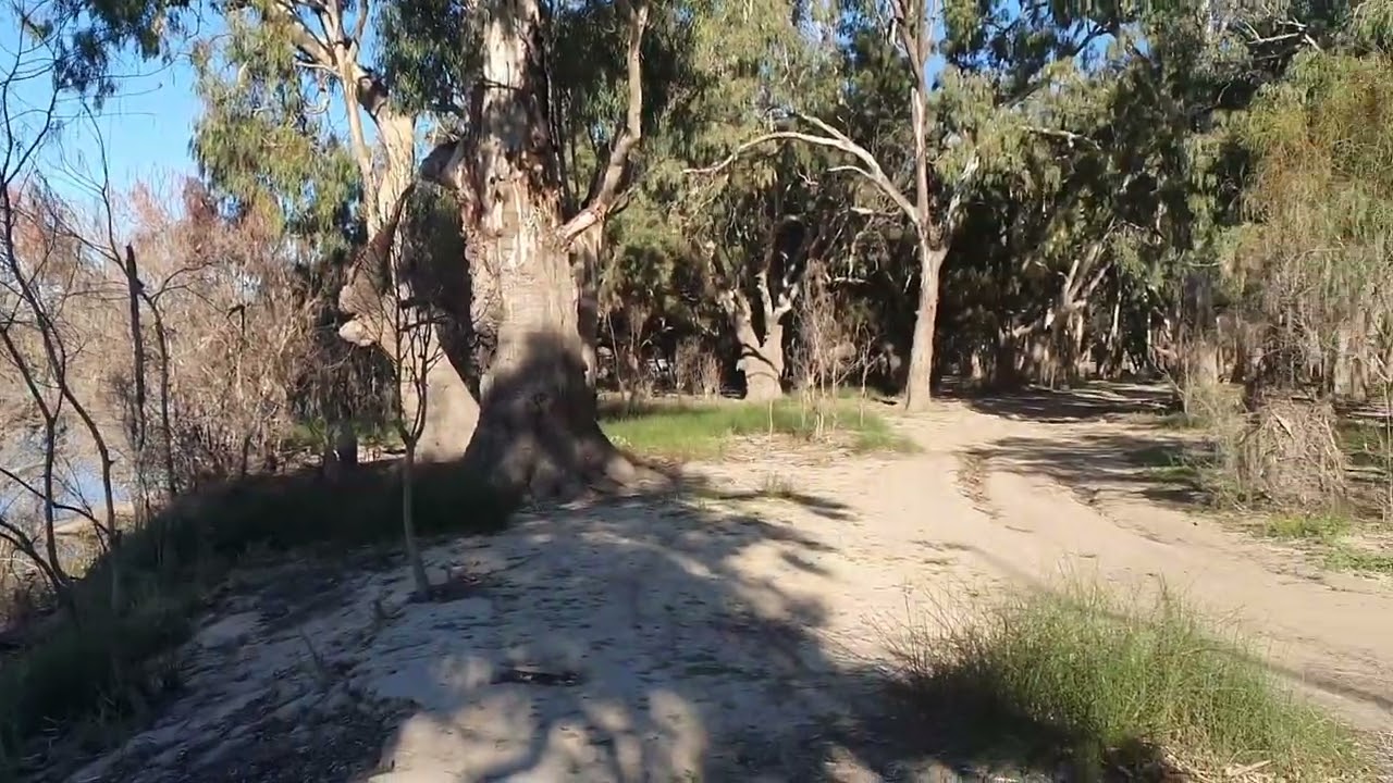Murray River Bottle Bend Free Camp Red Cliffs Victoria. 35km SE of Mildura, Dogs friendly. No toilet