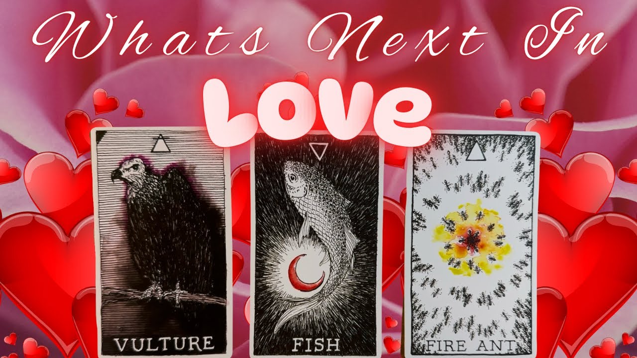 What's Next In LOVE 🥰 Super Detailed Reading ♥️Pick A Card♥️