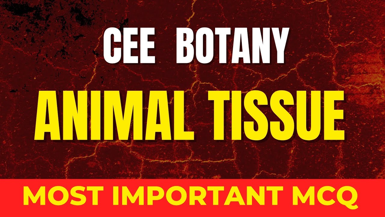 CEE - ANIMAL TISSUE QAD   ( 3-4 marks for CEE 2085 ) 
