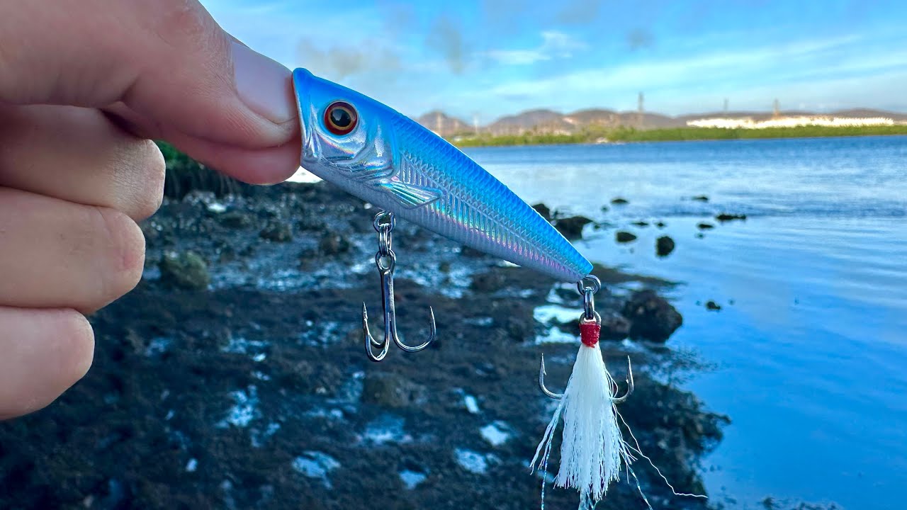 Pesca con SE&Ntilde;UELO POPPER.