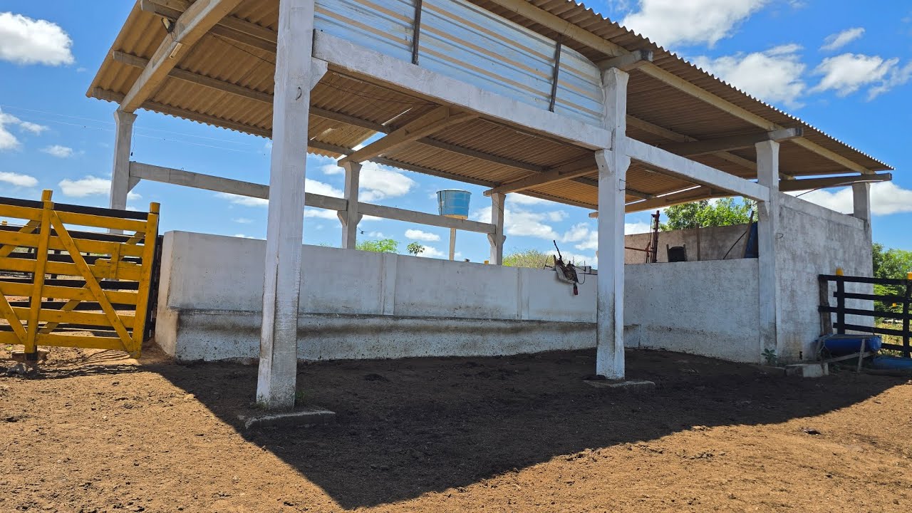 Fazenda em Jataúba-PE, medindo 155 hectares, Valor R$ 599.000,00.