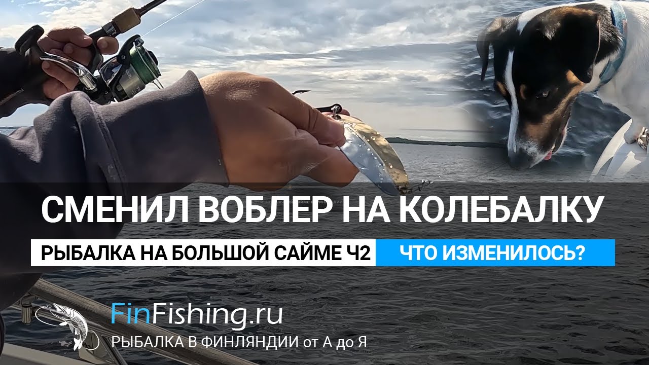 Воблер или колебалка плюсы и минусы. Рыбалка в Финляндии на большой Сайме, блесны williams и kuusamo