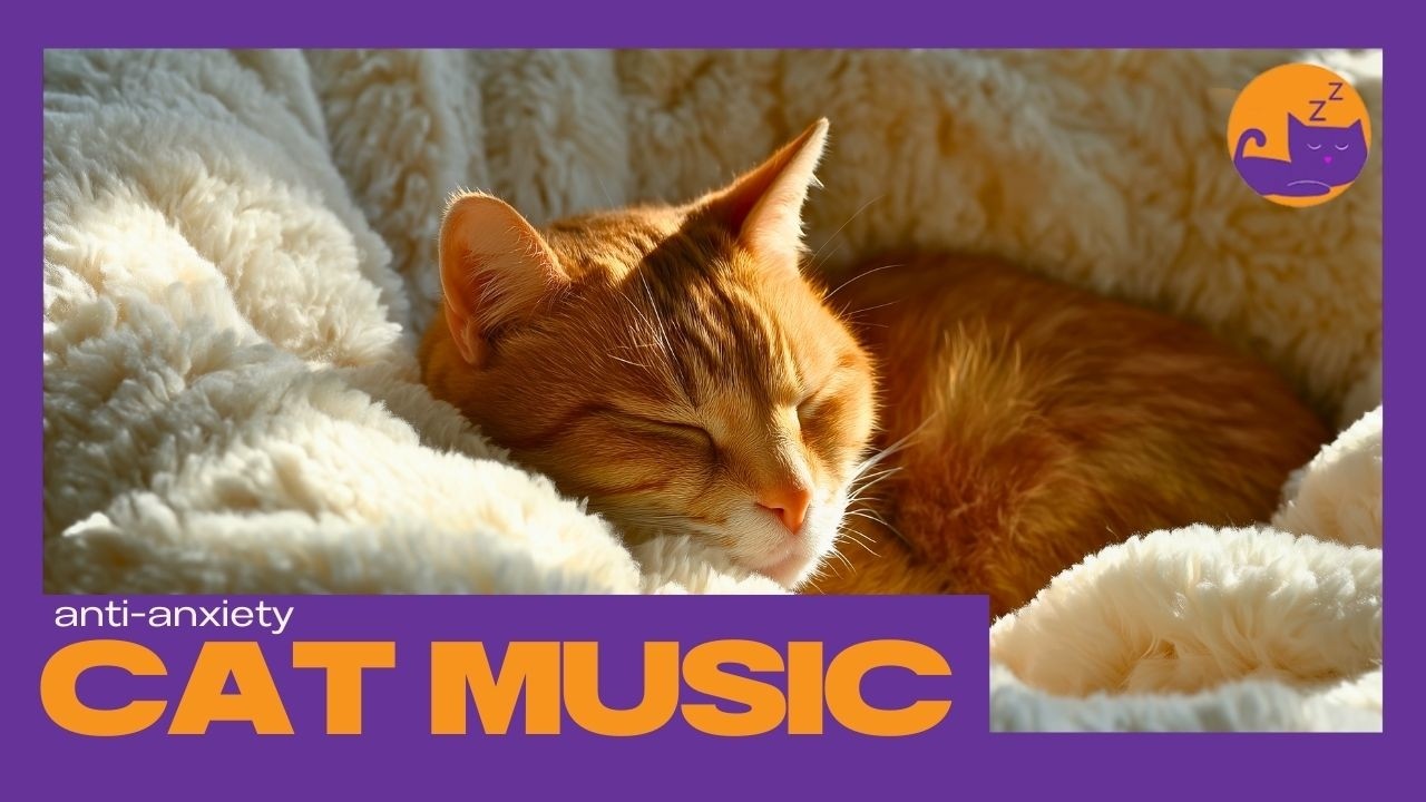 15 HOURS of Soothing Music for Cats - Calming Gentle Instrumentals 💤🐱