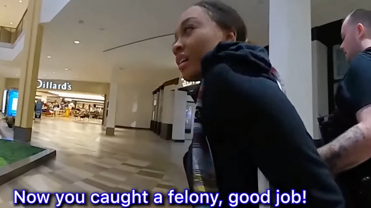 This Is What Happens When You Punch a Cop: Shocking Police Encounter!