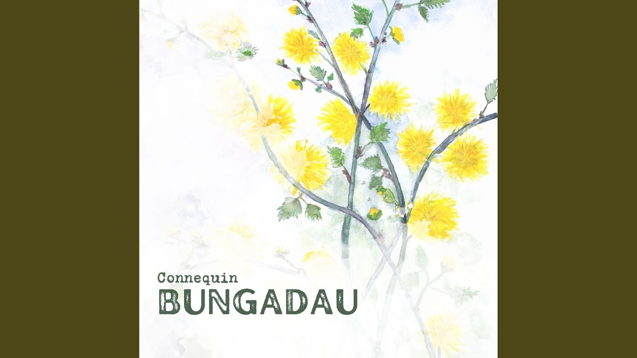 Bungadau