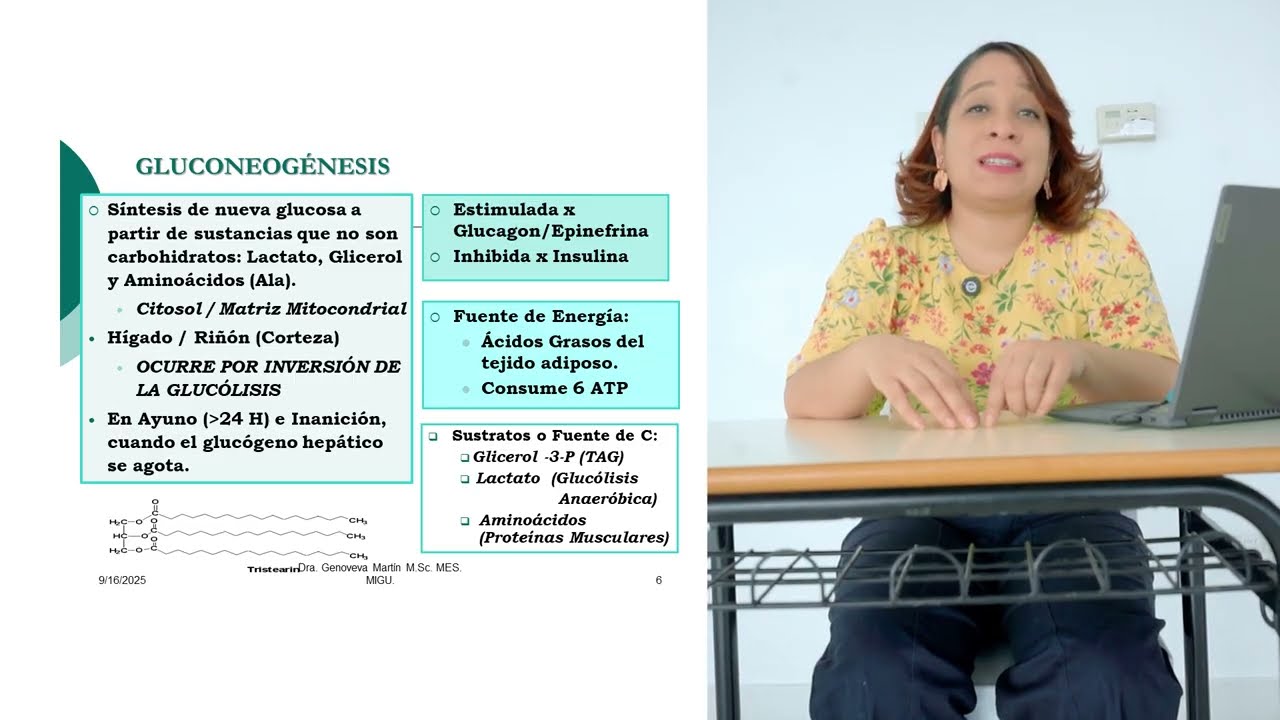 👉 Metabolismo de los Carbohidratos: Gluconeogénesis Explicada Fácilmente 🧬✨