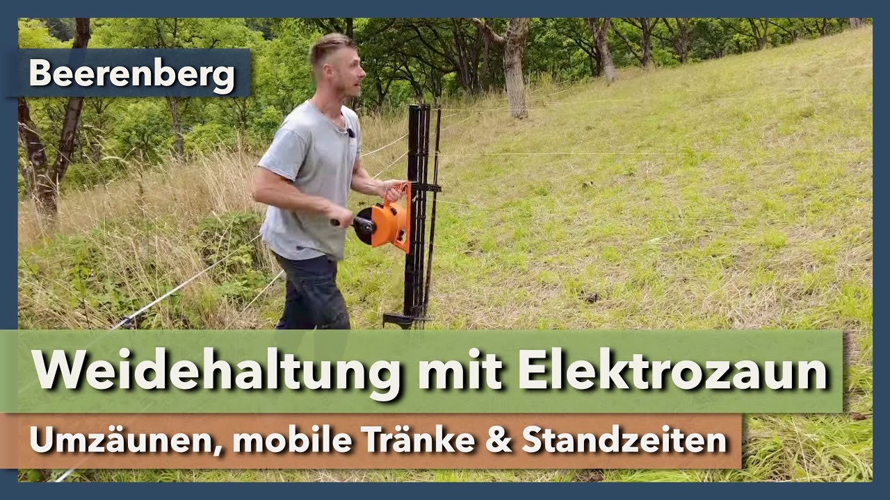 Weidehaltung mit Elektrozaun - Umzäunen, mobile Tränke, Standzeit | Beerenberg | Rundgang 8 | 2023