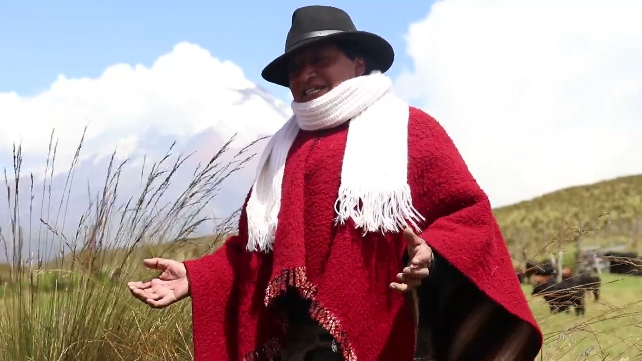 Los Herederos del Pedregal