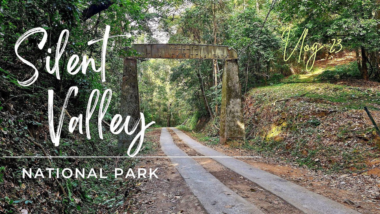 🌳Silent Valley National Park Kerala: Rainforest Trek, Jeep Safari & Nilgiri Secrets | After Attapadi
