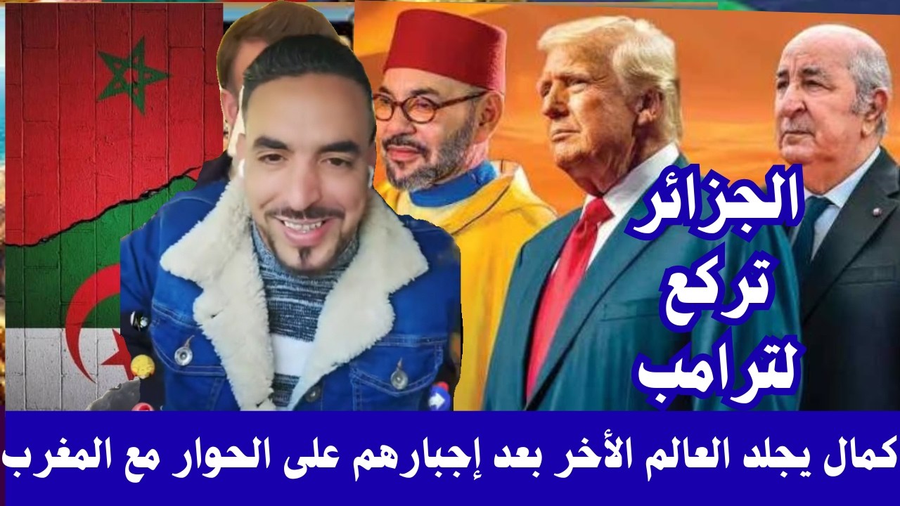 الأسد المغربي كمال يجلد أبواق العام الأخر 🔥بعد إنبطاح النظام الجزائري لترامب🤔😁 وجلوسهم على الطاولة👍👍