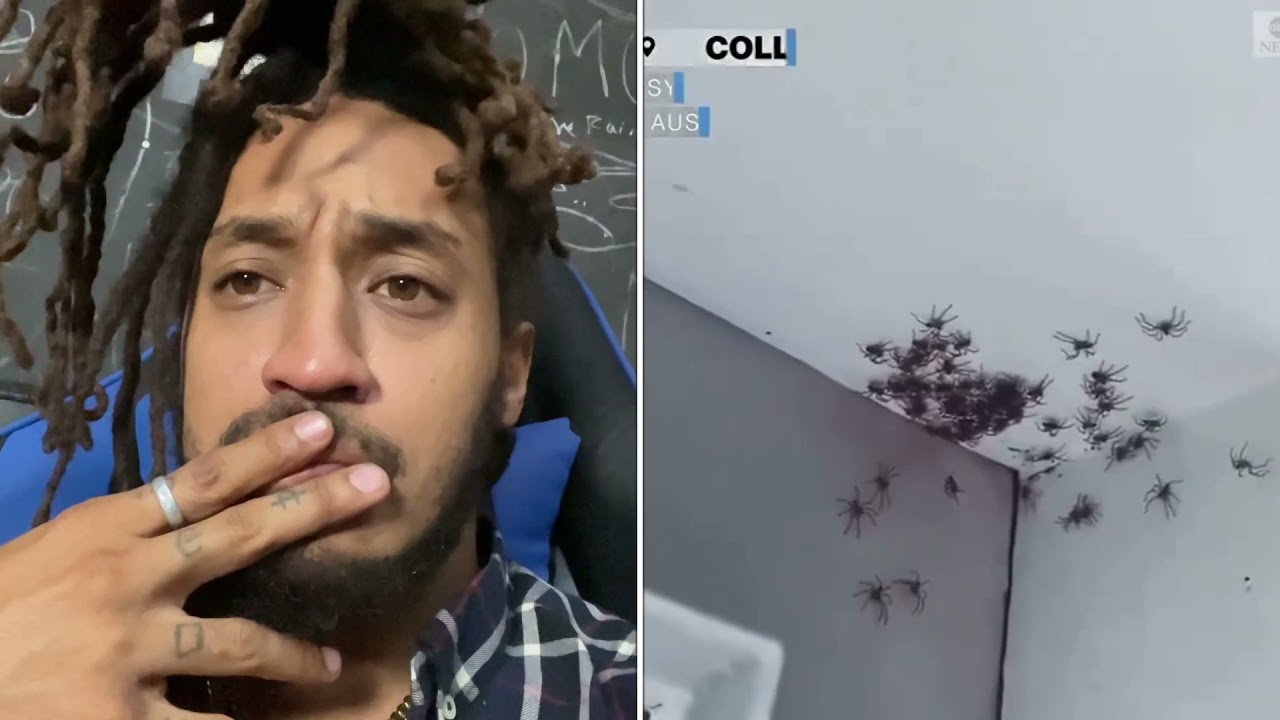 HUNDREDS OF BABY SPIDERS!! Is Australia Real?! 😩🕷 #PatGeo