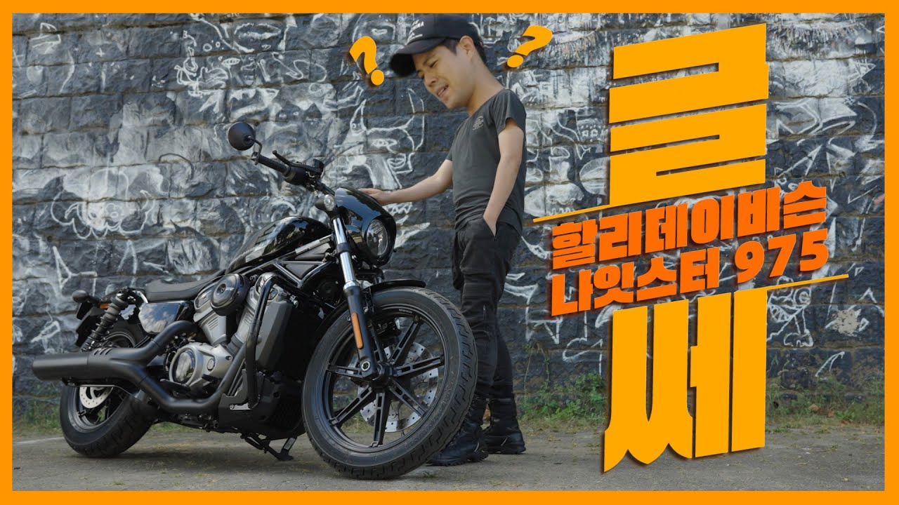 입문용 할리, 나잇스터 975! 그런데 가격이.. 🤔
