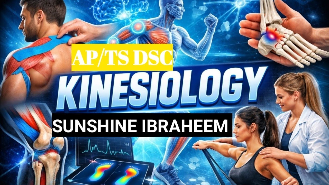 Understanding kinesiology easy to learn