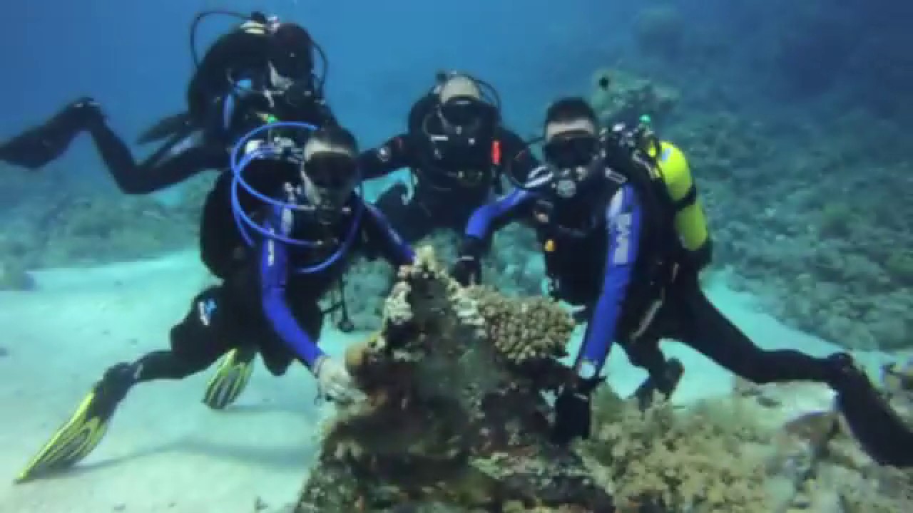 Szudán Búvárszafari a Titán Búvár Iskolával