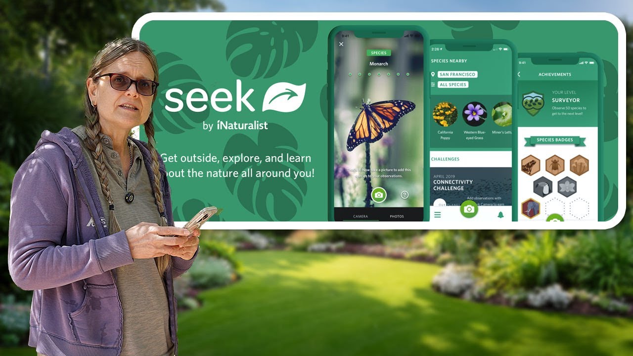 This Free App Identifies Plants, Bugs, and Animals in Seconds (Seek App Review)