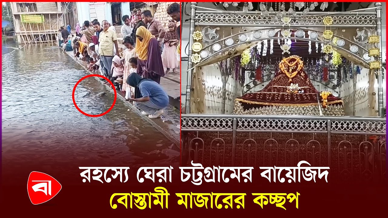 বায়েজিদ বোস্তামীর মাজারে কেন প্রতিদিন ভিড় করেন শত শত ভক্ত | Bayazid Bostami Mazar | Turtle
