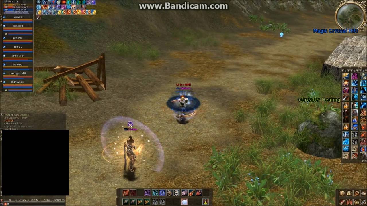 Lineage 2 TOXIC - SPS POWER - BigStorm