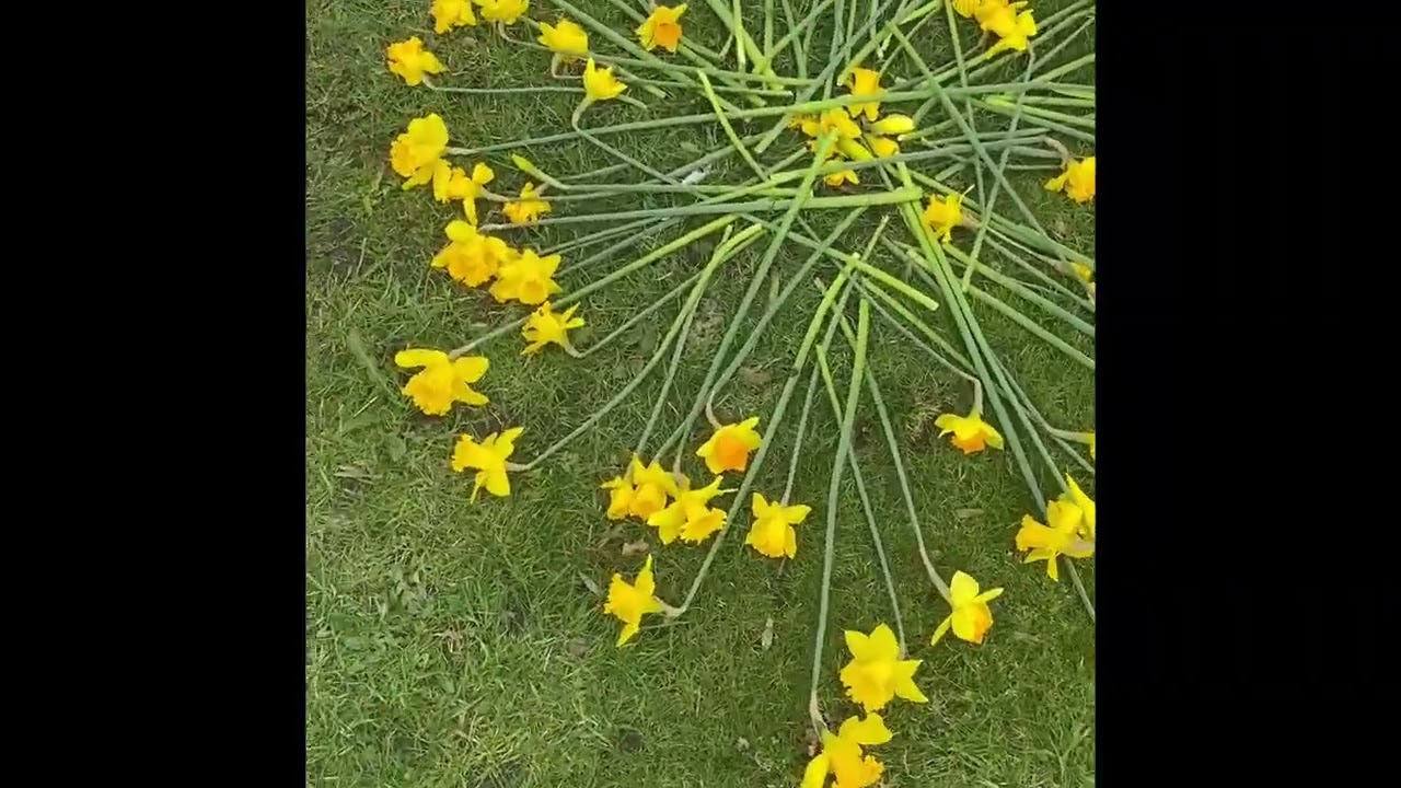 A Mothering Sunday Labyrinth. 