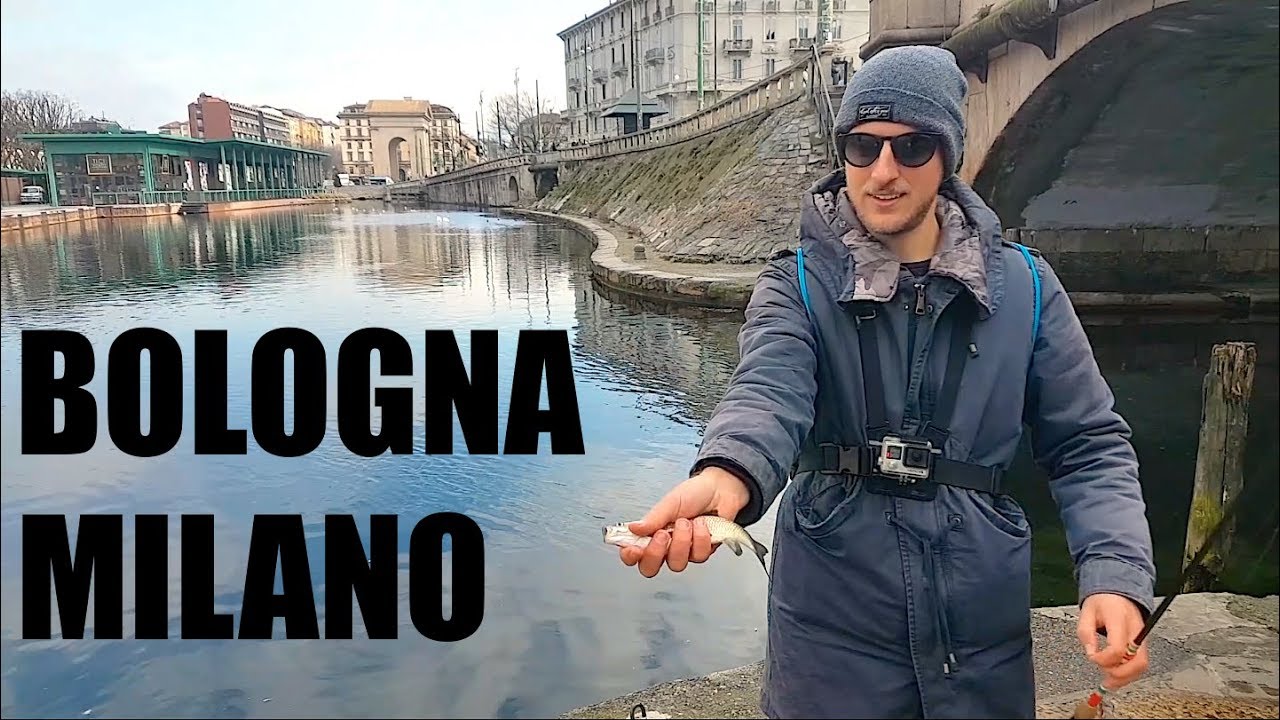 PESCARE IN CITTA'!! Casalecchio Di Reno (BOLOGNA) e Darsena di MILANO - VLOG