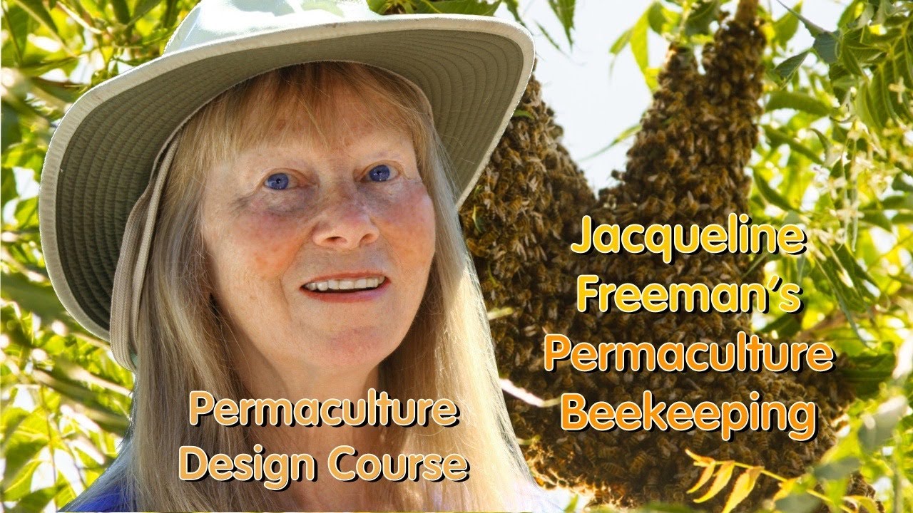 Permaculture Beekeeping with Jacqueline Freeman - part of the online permaculture design course