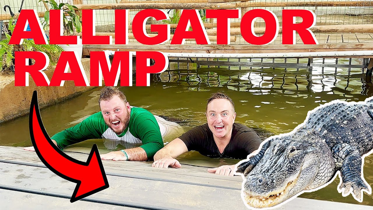 Установка нового пандуса для моих аллигаторов | PLUS Alligator Update!